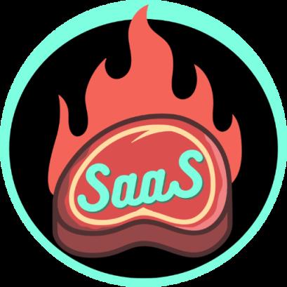 SaaS Landing Page Roaster